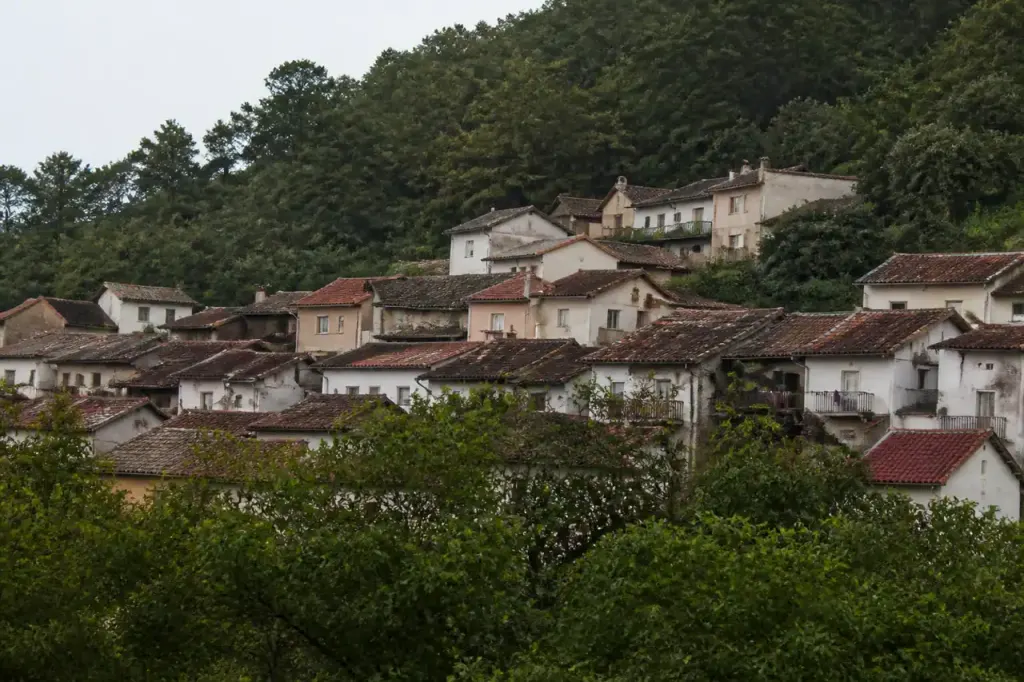 Toits de maisons serrees sur une colline boisee